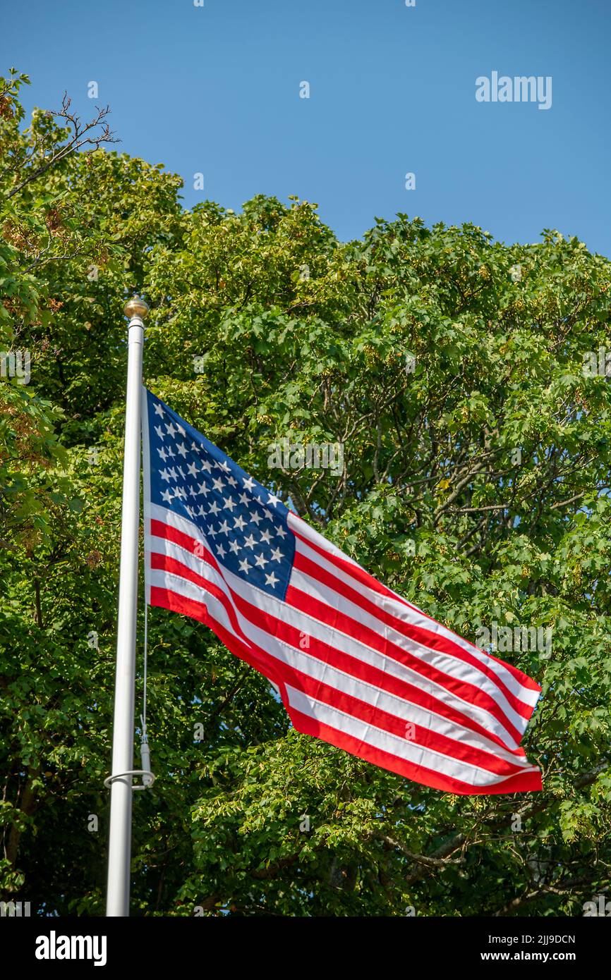 stars and stripes american flag flying in the wind, stars and stripes red white and blue flag of united states with trees and a blue sky. Stock Photo
