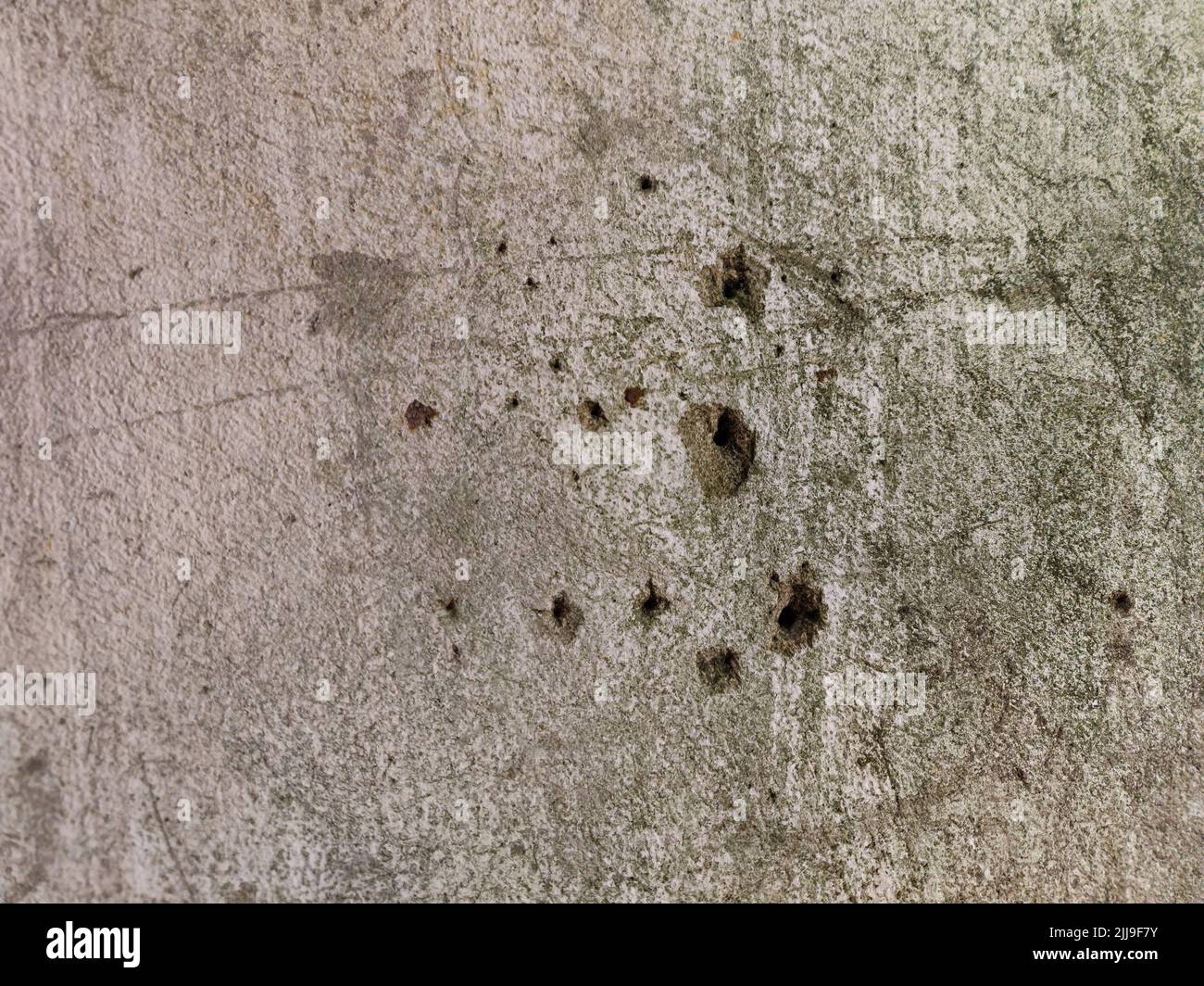 Perfect background shot for designers of a beautiful unique grey wall with real bullet shot holes Stock Photo