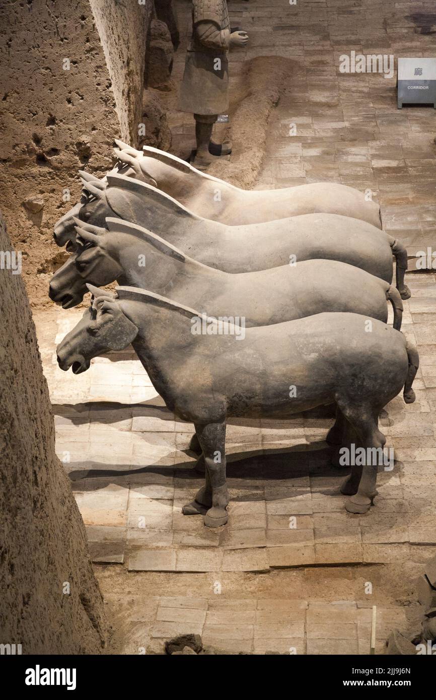 Horses made from fired terracotta clay discovered (accompanied by horse men) in pit 3 at The Terracotta Army dig, at Emperor Qinshihuang's Mausoleum Museum in Xi'An, China, PRC. (125) Stock Photo