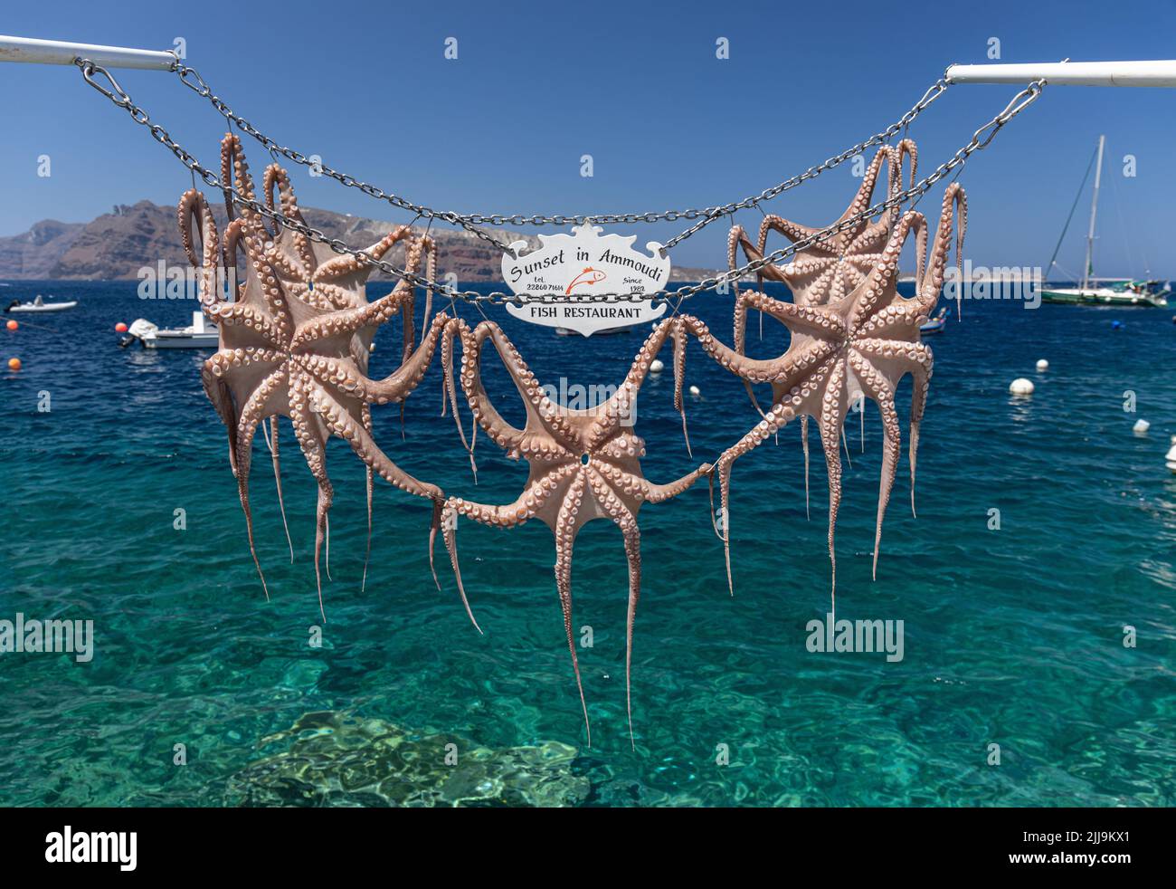 Octopus drying in the sun advertising Sunset in Ammoudi Fish Restaurant