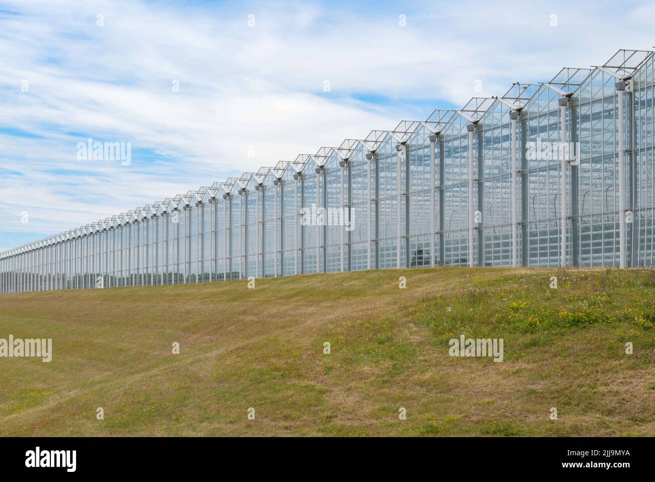 Earth glasshouses, Kent, England, UK Stock Photo Alamy