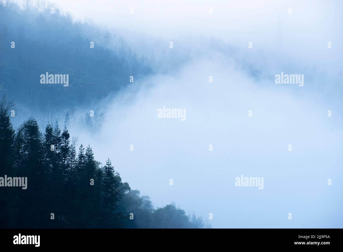 Mountains with dark forests covered in thick fog Stock Photo - Alamy