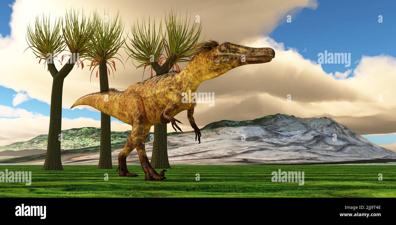 Austroraptor was a carnivorous theropod dinosaur that lived in Argentina during the Cretaceous Period. Stock Photo