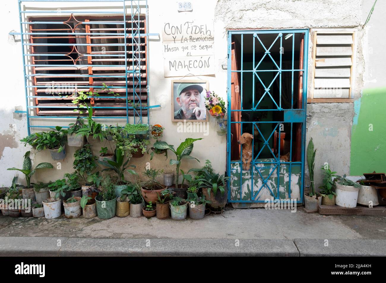 Facade of a house in Havana Cuba. Blue grilled entrance door with a dog behind it. Stock Photo