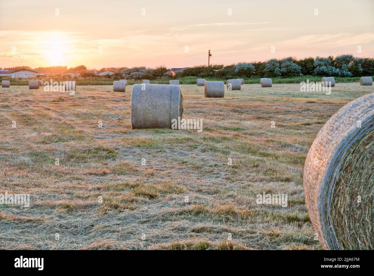 Summer sunset over farm land full of wrapped hay bales after harvest , Hastings, Kent England Stock Photo