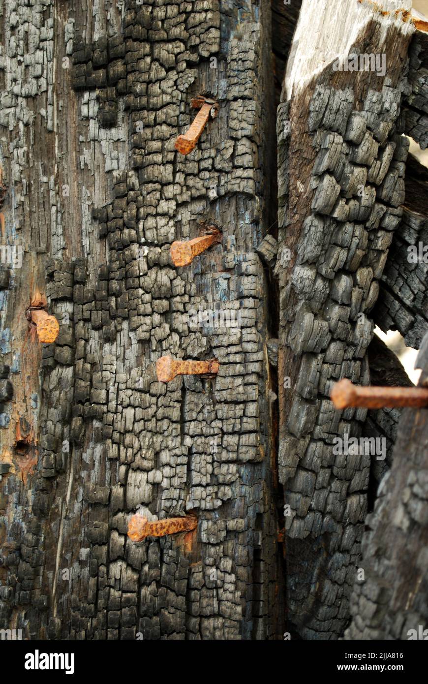 burnt wood with nails Stock Photo