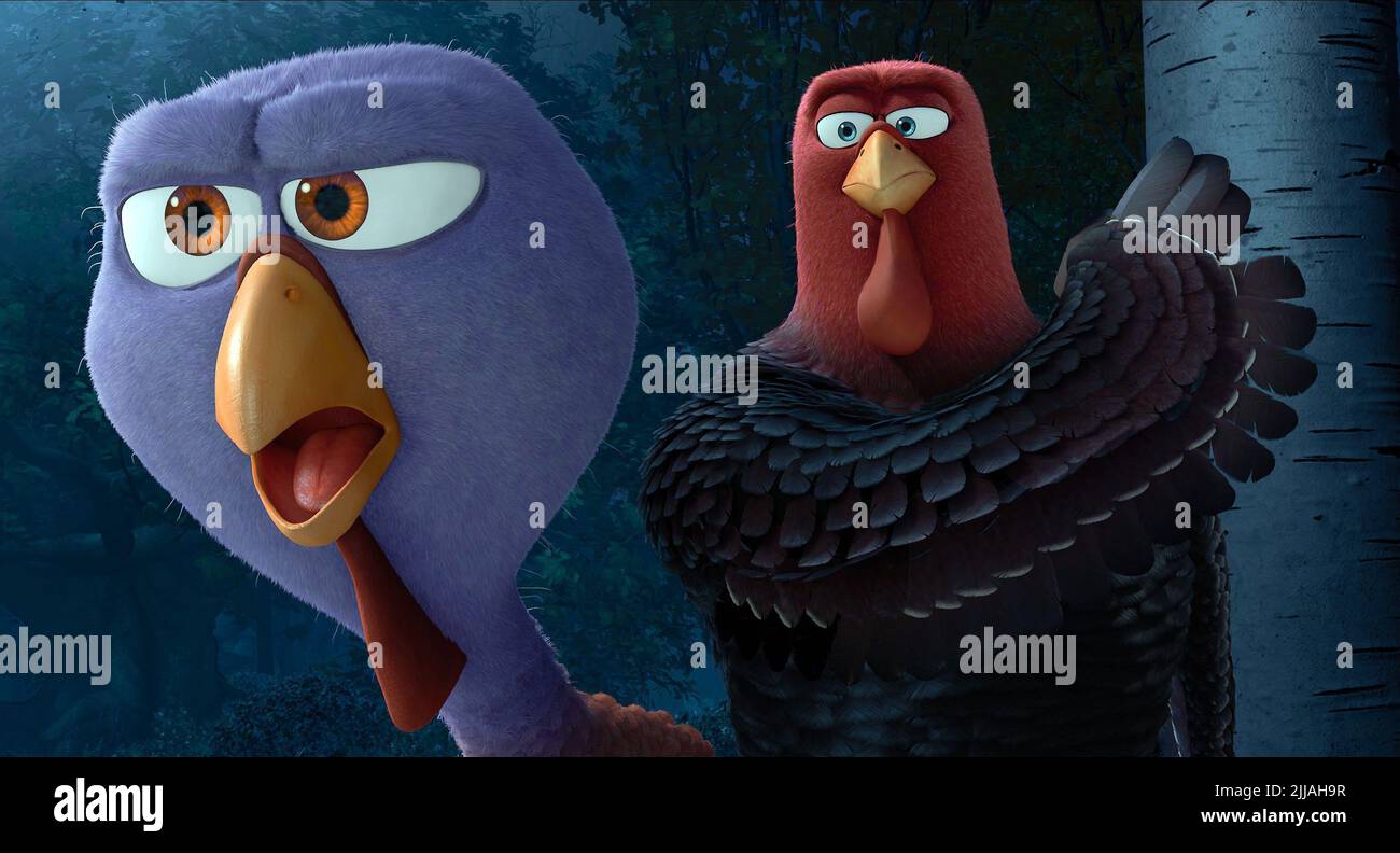 Free Birds Jenny Eye