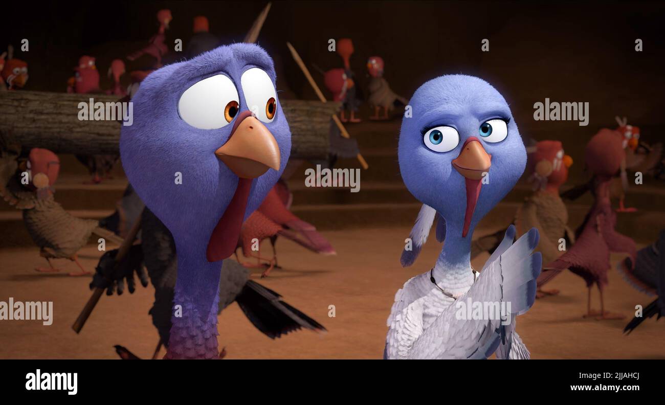 Free Birds Jenny Eye