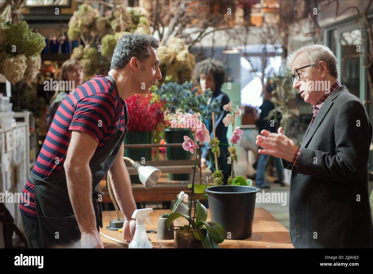 JOHN TURTURRO, WOODY ALLEN, FADING GIGOLO, 2013 Stock Photo Alamy