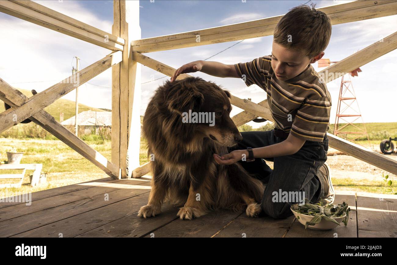 Prodigious hi-res stock photography and images - Alamy