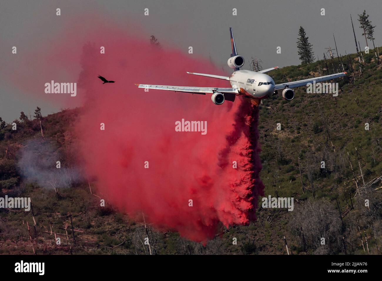 A bird flies as a firefighting aircraft drops flame retardant on a hillside to control the Oak Fire while burning near Darrah in Mariposa County, California, U.S., July 24, 2022. REUTERS/Carlos Barria     TPX IMAGES OF THE DAY Stock Photo