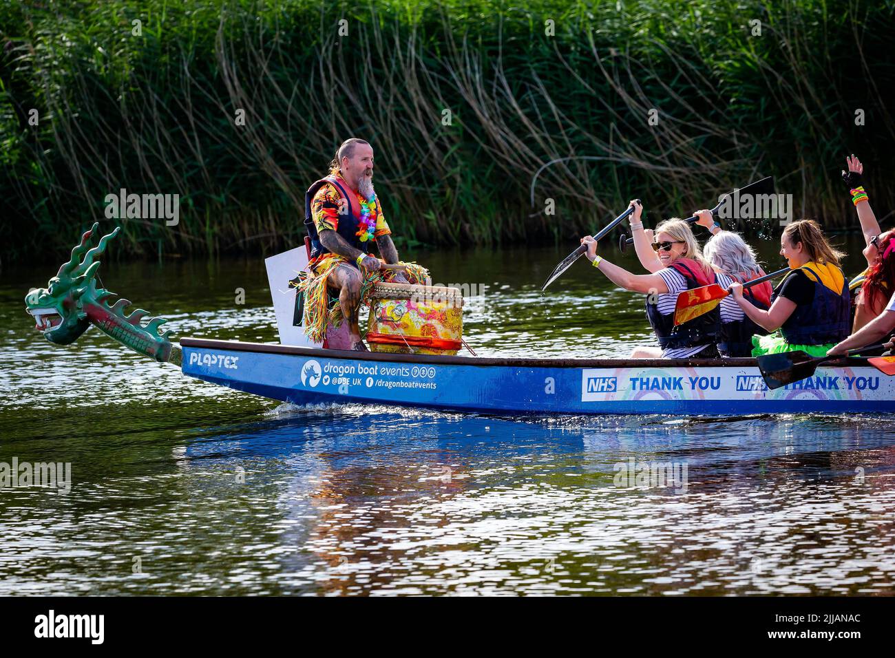 Man in Hawaiian shirt and grass skirt banging the drum in a Dragon Boat race Stock Photo