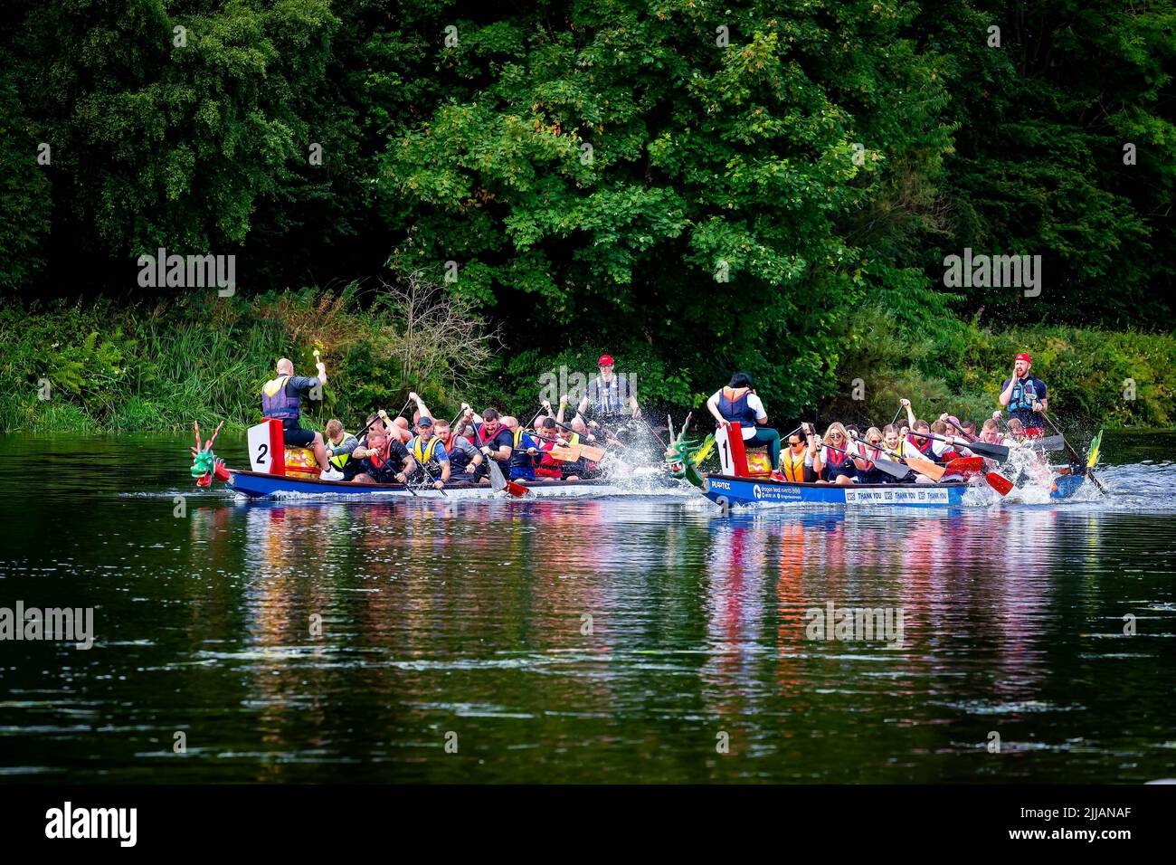 Two Dragon Boats race against each other with the teams paddling badly and making huge splashes Stock Photo