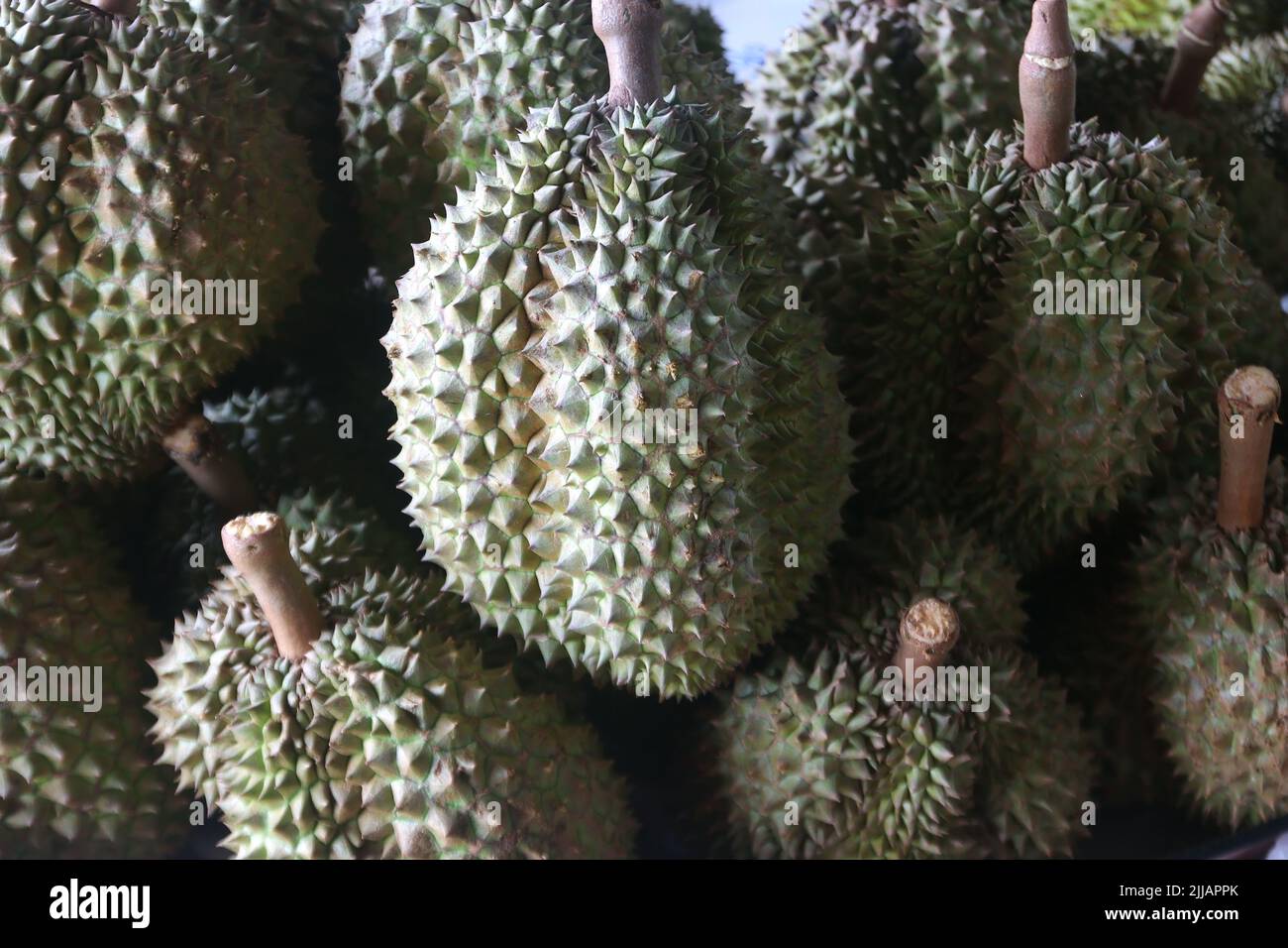 photo of durian fruit on market tray Stock Photo