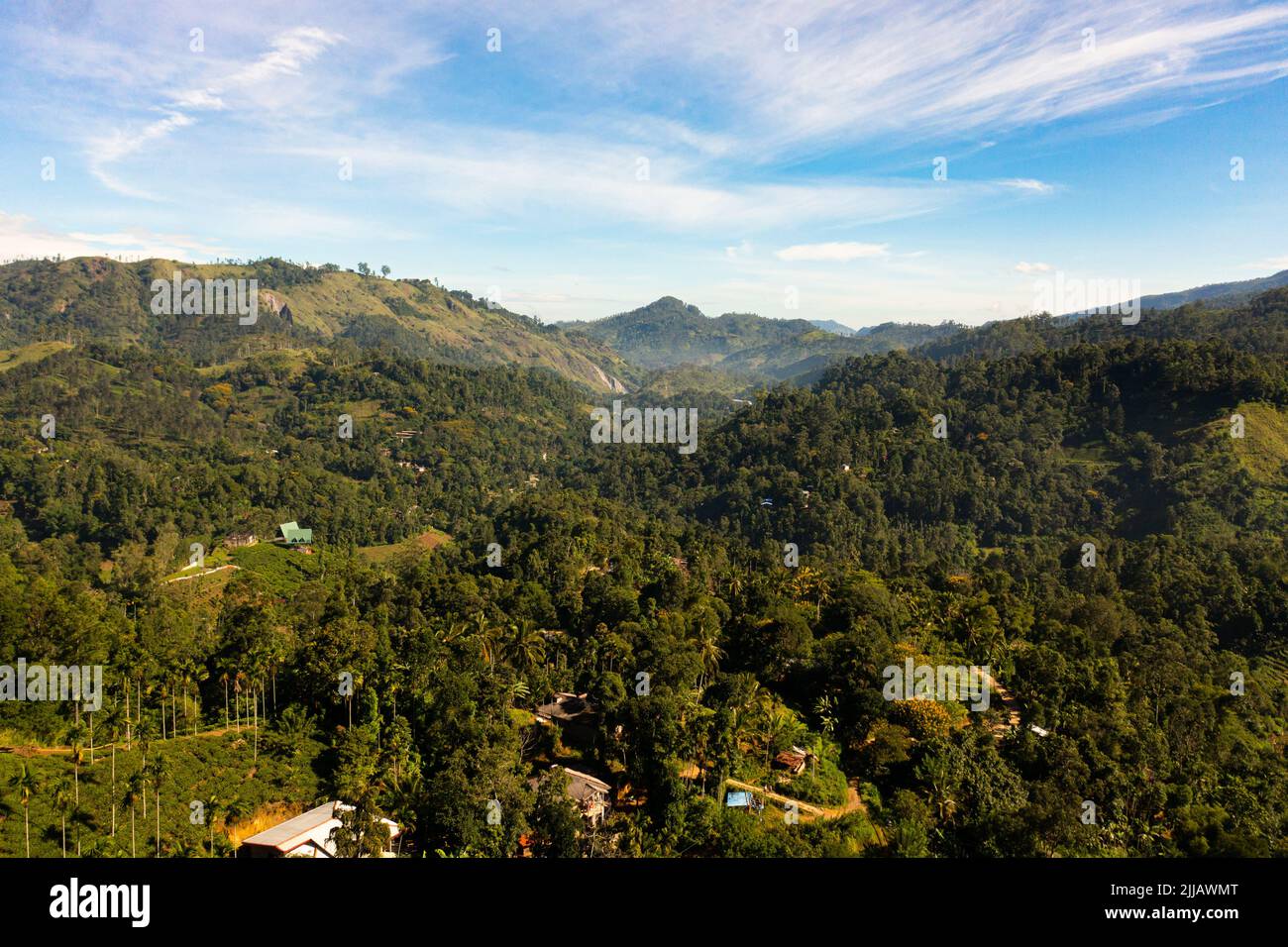 Rural area in the mountains among tea plantations and agricultural ...