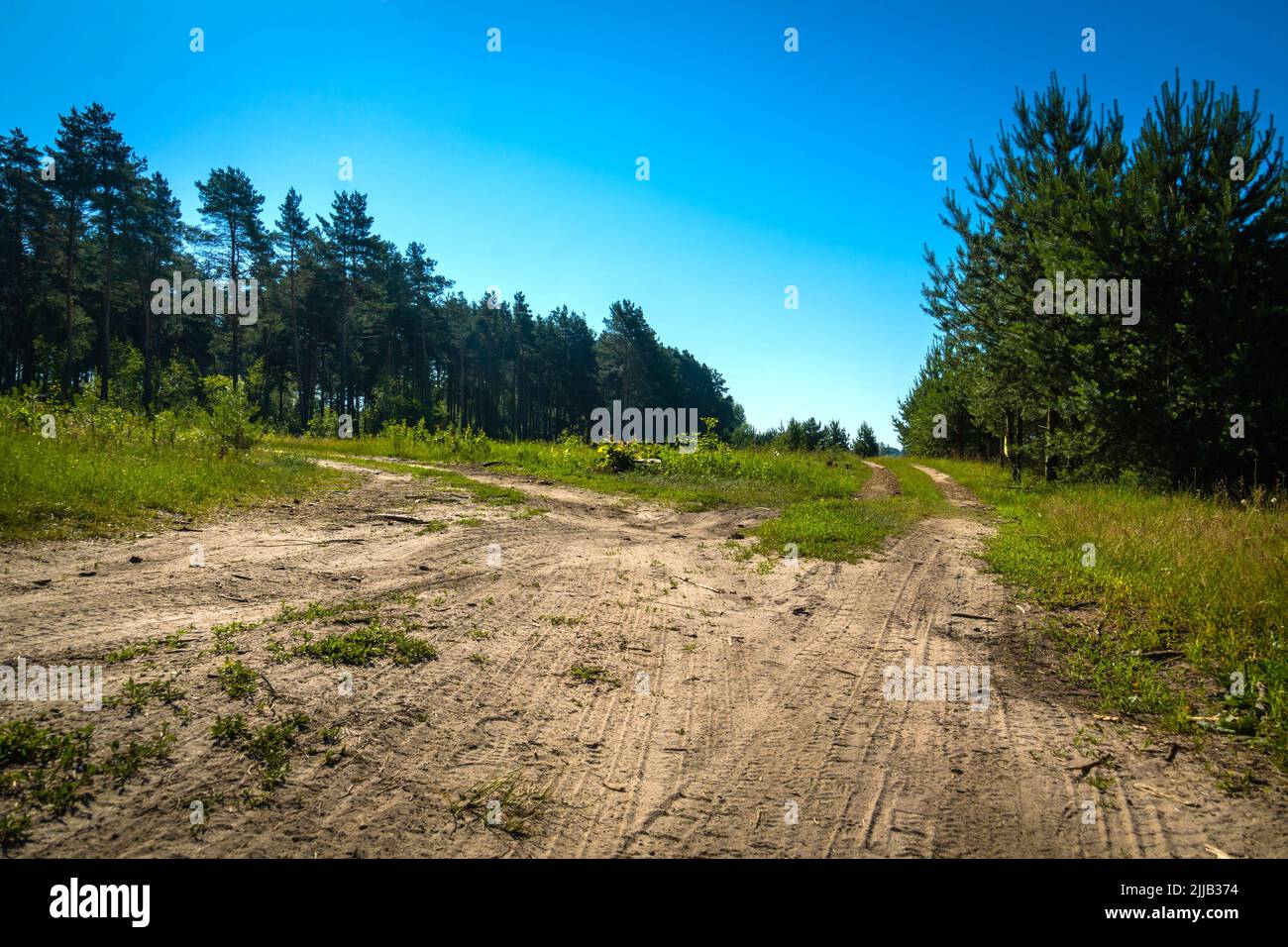 Dirty sandy road in the summer forest and blue sky Stock Photo - Alamy