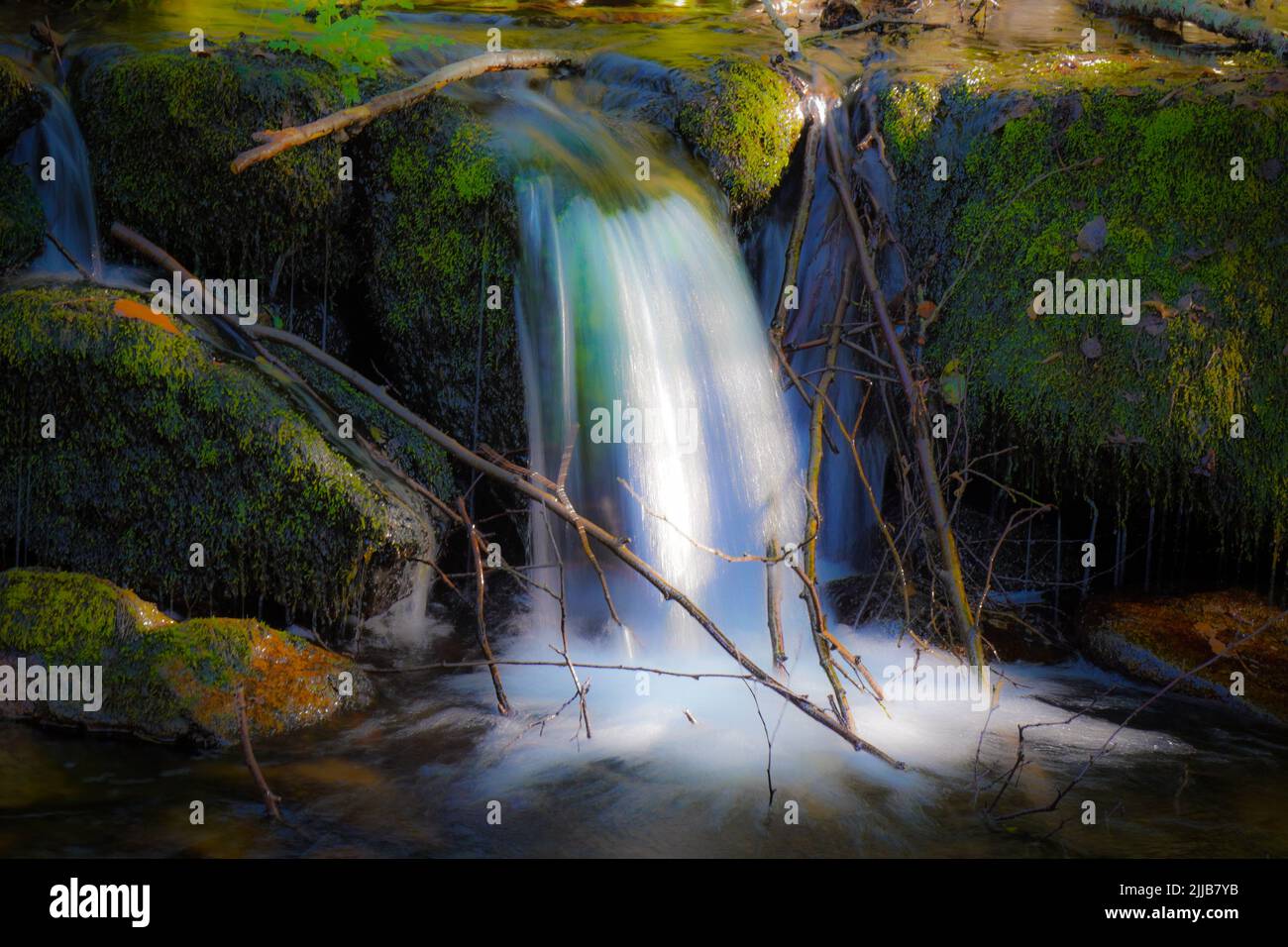 Slow motion frost hi-res stock photography and images - Alamy