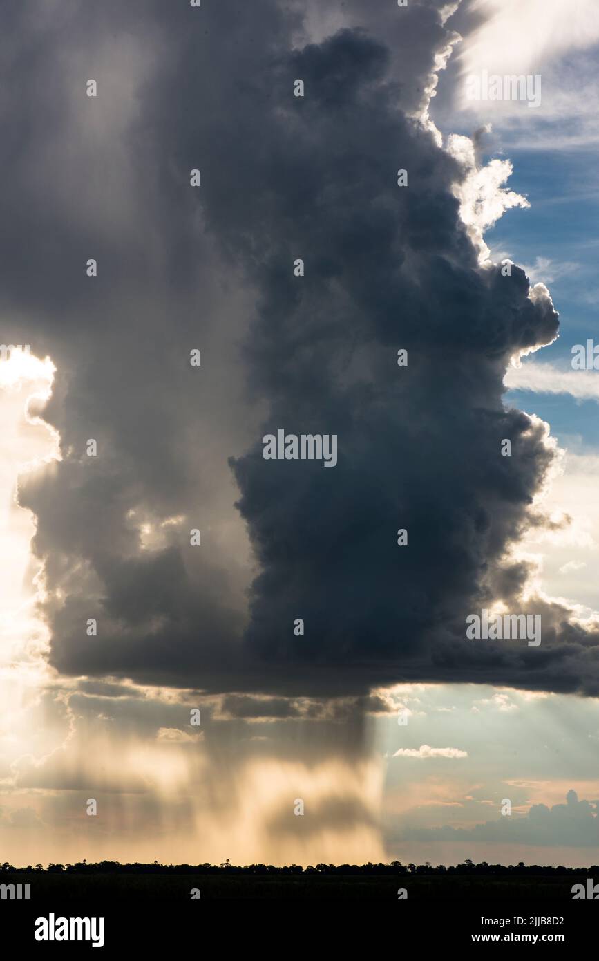Storm-cloud, Okavango delta game park Stock Photo