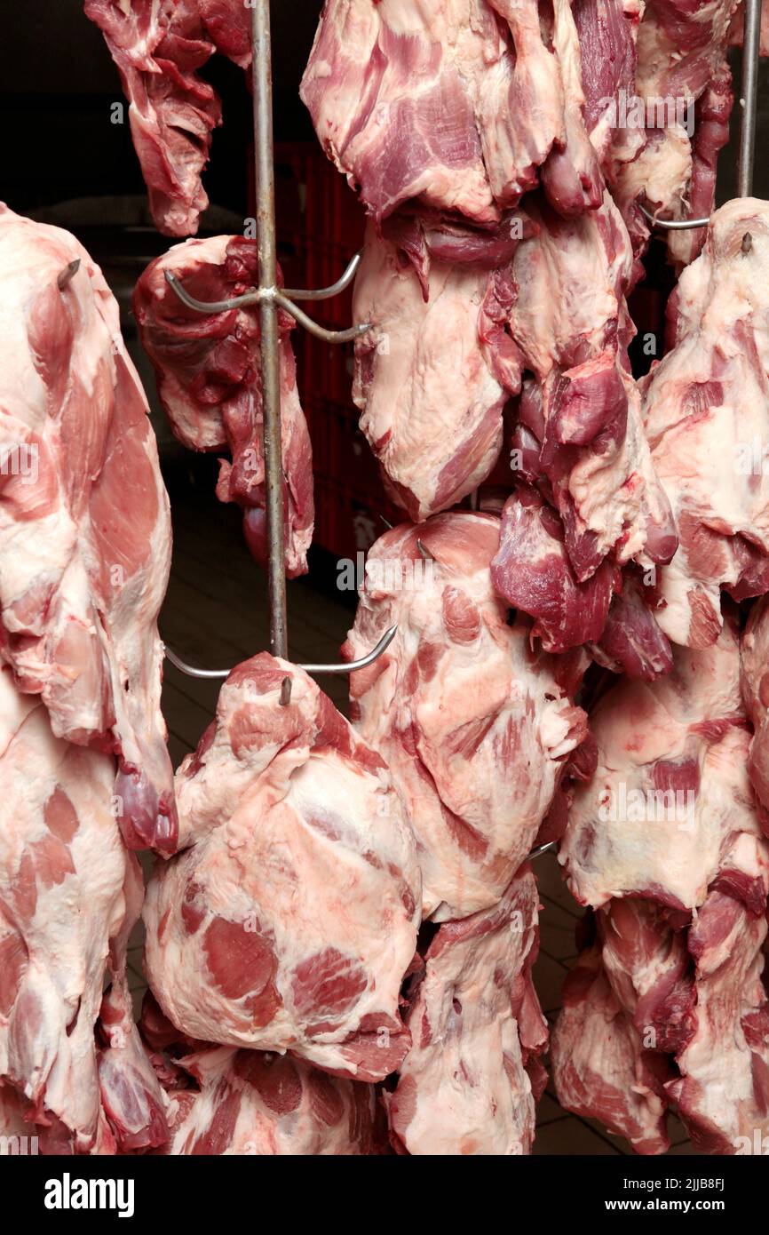 abattoir hanging from metal hooks on rail in cold room on meat industry Stock Photo