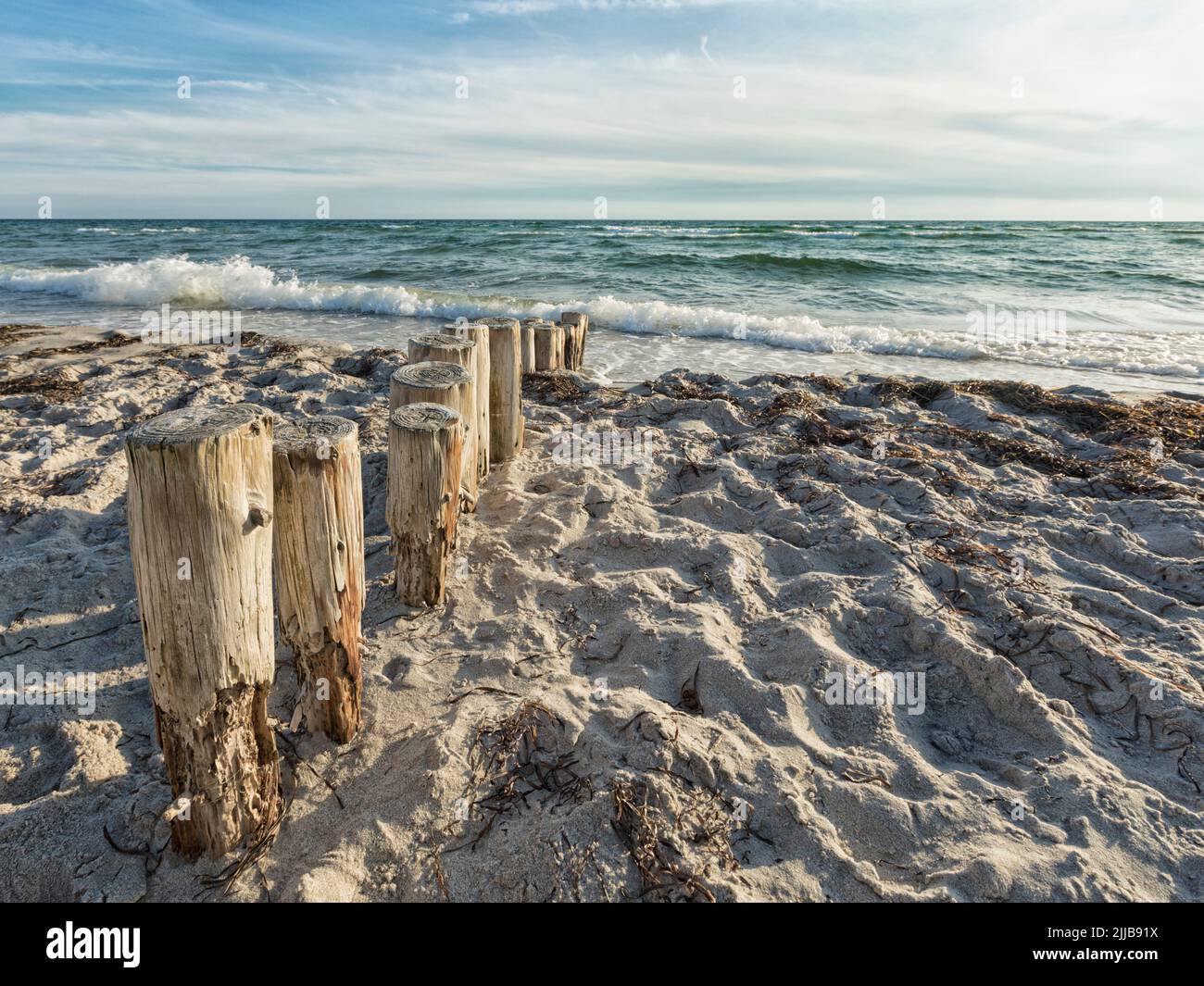 Weathered wooden stakes of breakwater at Baltic Sea beach in Denmark Stock Photo