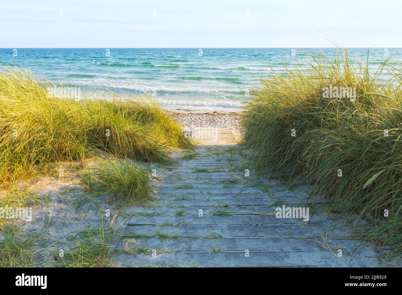 Wooden path to the beach of Ristinge, Baltic Sea island of Langeland, Denmark Stock Photo