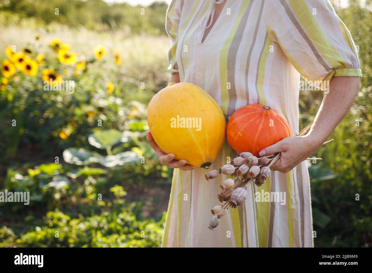Farmer holding pumpkins and poppy pods in her hands. Woman harvesting homegrown produce from organic garden Stock Photo