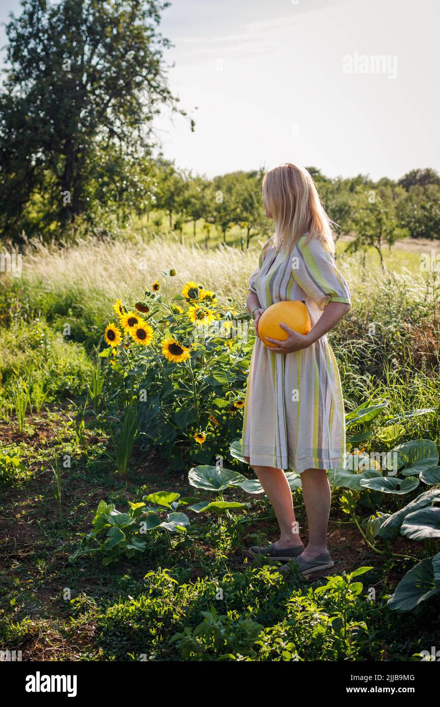 Woman farmer with summer dress holding yellow pumpkin in garden. Organic gardening Stock Photo