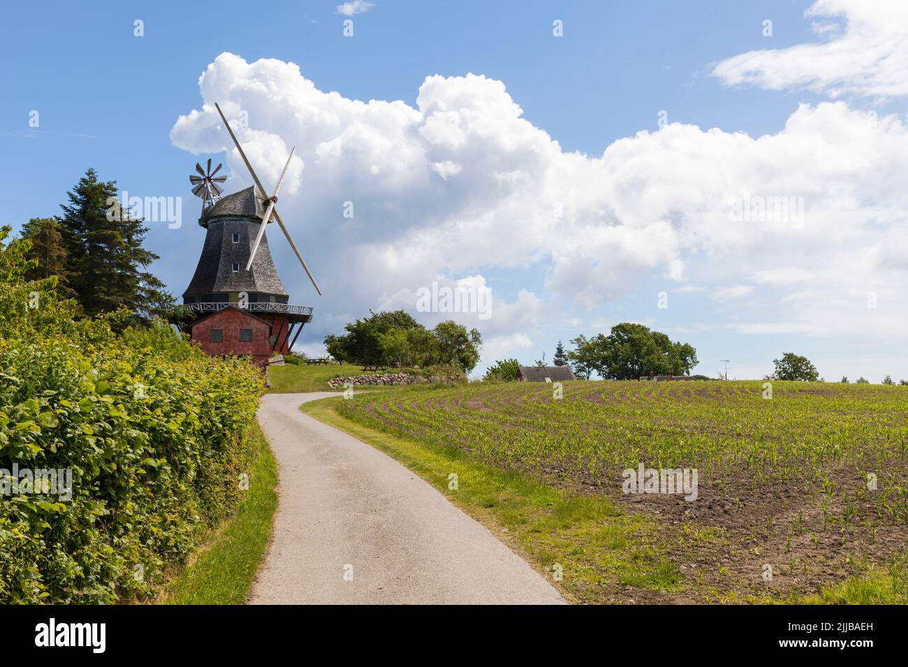 Lindelse Mølle, windmill at the village of Lindelse, langeland island, Denmark Stock Photo