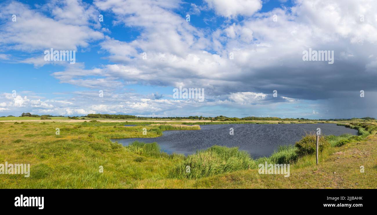 Tryggelev Nor Nature Preserve and bird sanctuary panorama, Langeland, Denmark Stock Photo