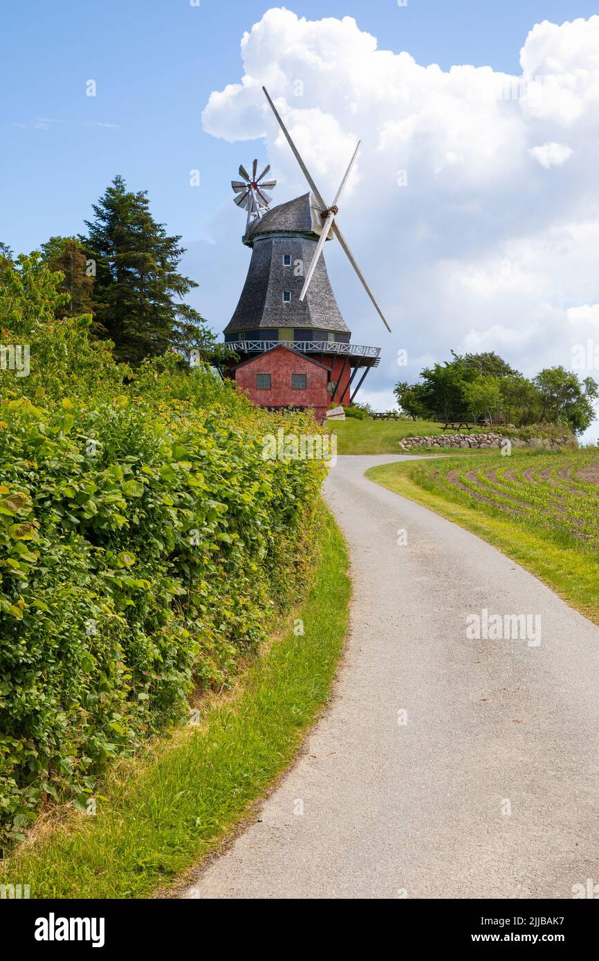 Lindelse Mølle, windmill at the village of Lindelse, langeland island, Denmark Stock Photo