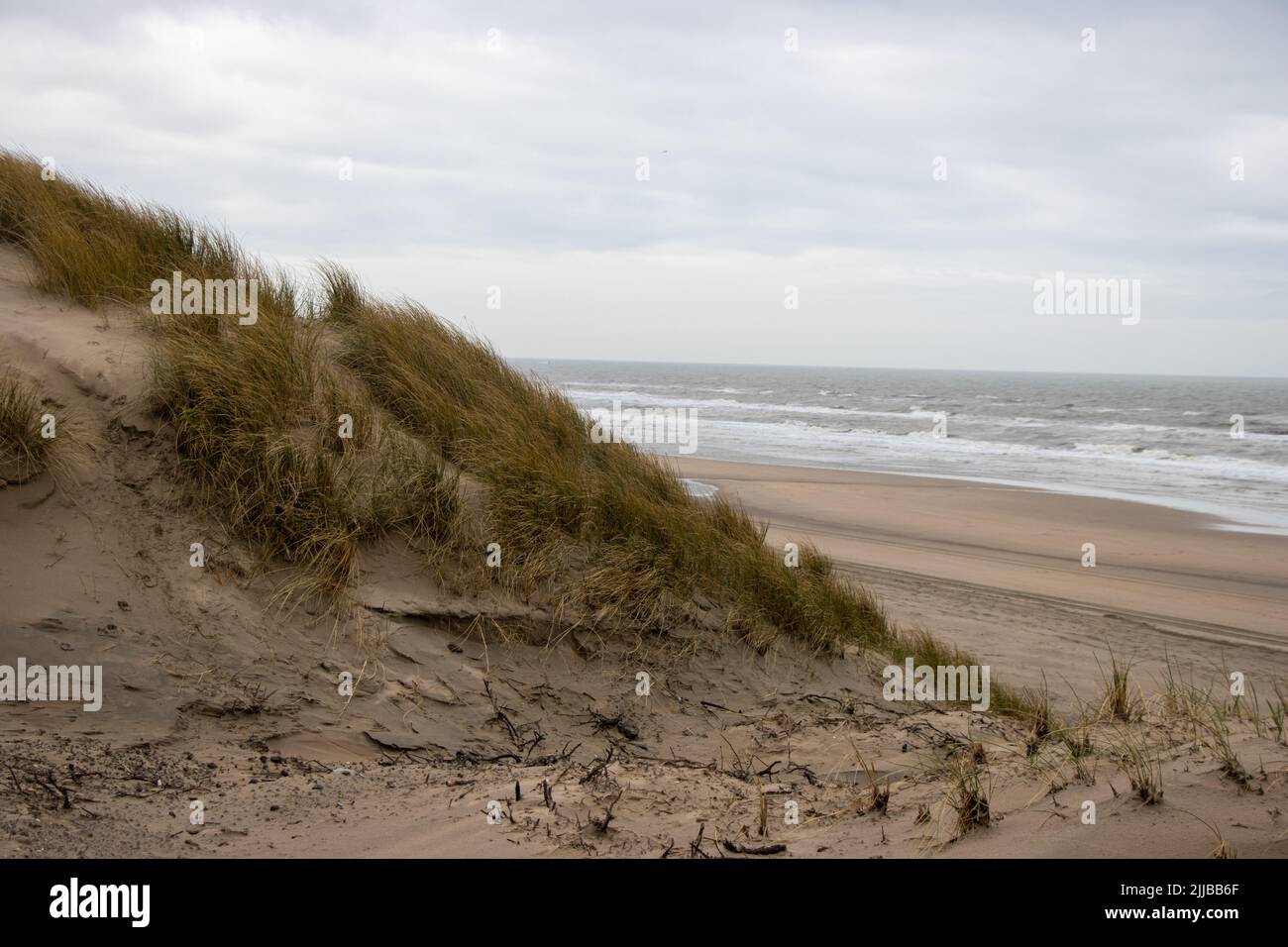 Beach in the Zuid-Kennemerland Nationaal park. Bloomingdaal an Zee. Stock Photo