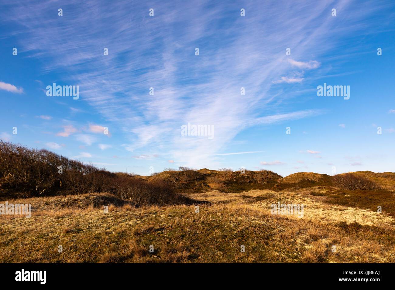 Typical landscape on the East Frisian Island of Spiekeroog, Germany Stock Photo