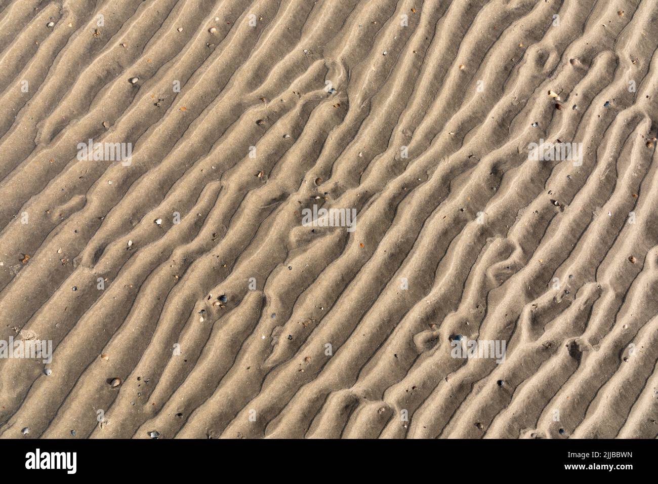 Animal tracks in the sandy beach of Spiekeroog Stock Photo