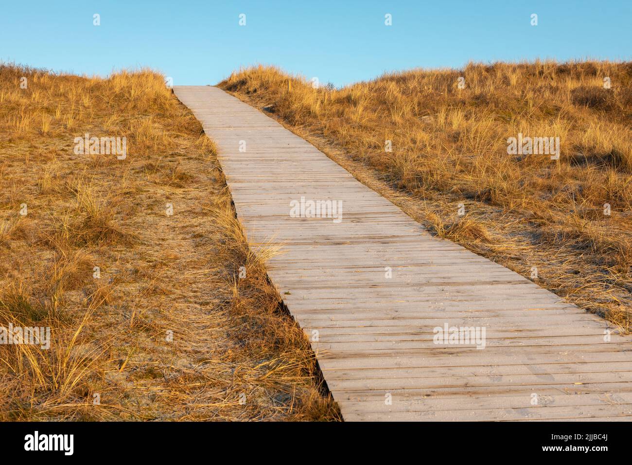 Boardwalk through the dunes, Spiekeroog, Germany Stock Photo