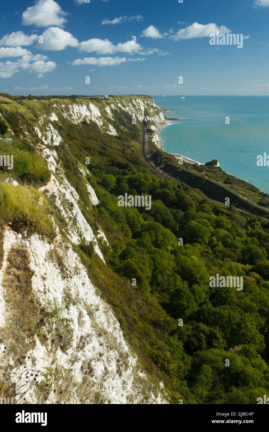 View of East Cliff & The Warren Country Park, coastal railway line, chalk cliffs and woodland View of East Cliff & The Warren Country Park, coastal railway line, chalk cliffs and woodland