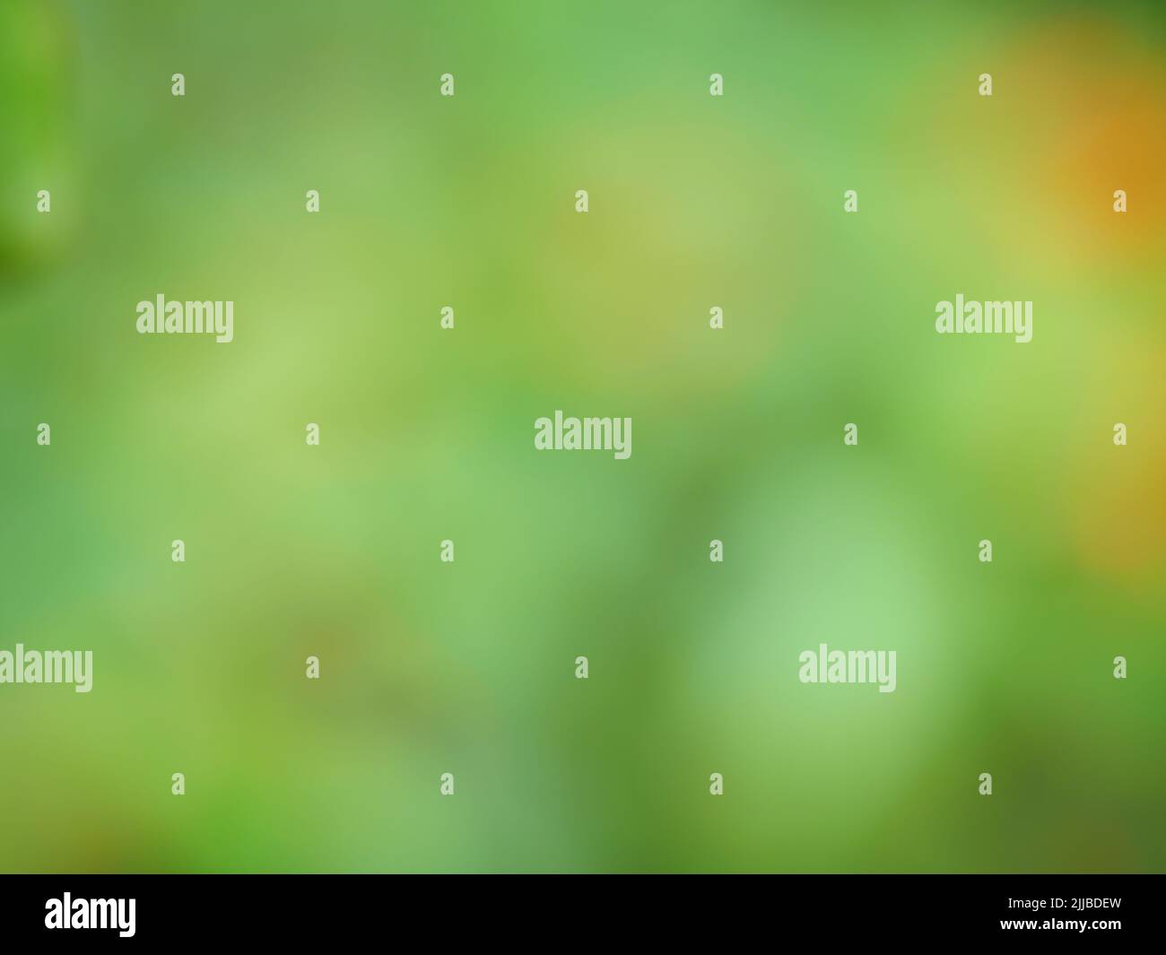 Abstract background from natural Bokeh for the celebration of the holiday season, Mix of white with green with orange and yellow circle Stock Photo