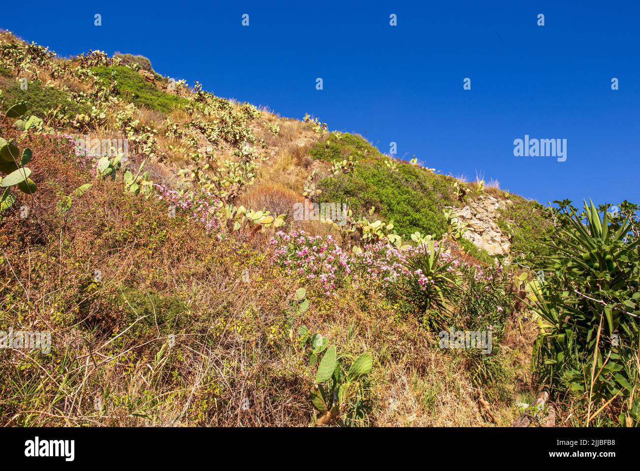 Mediterranean hill at Capo Vaticano, Calabria, Italy Stock Photo