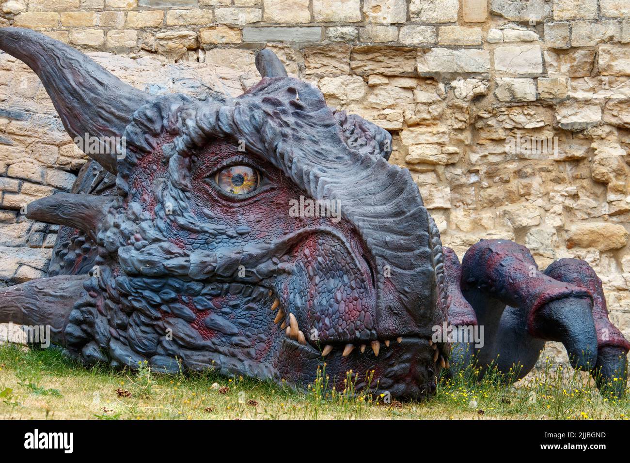 Lucy the friendly Lincoln Castle dragon pictured in Lincoln Castle. The dragon can be seen bursting through the castle walls. Stock Photo