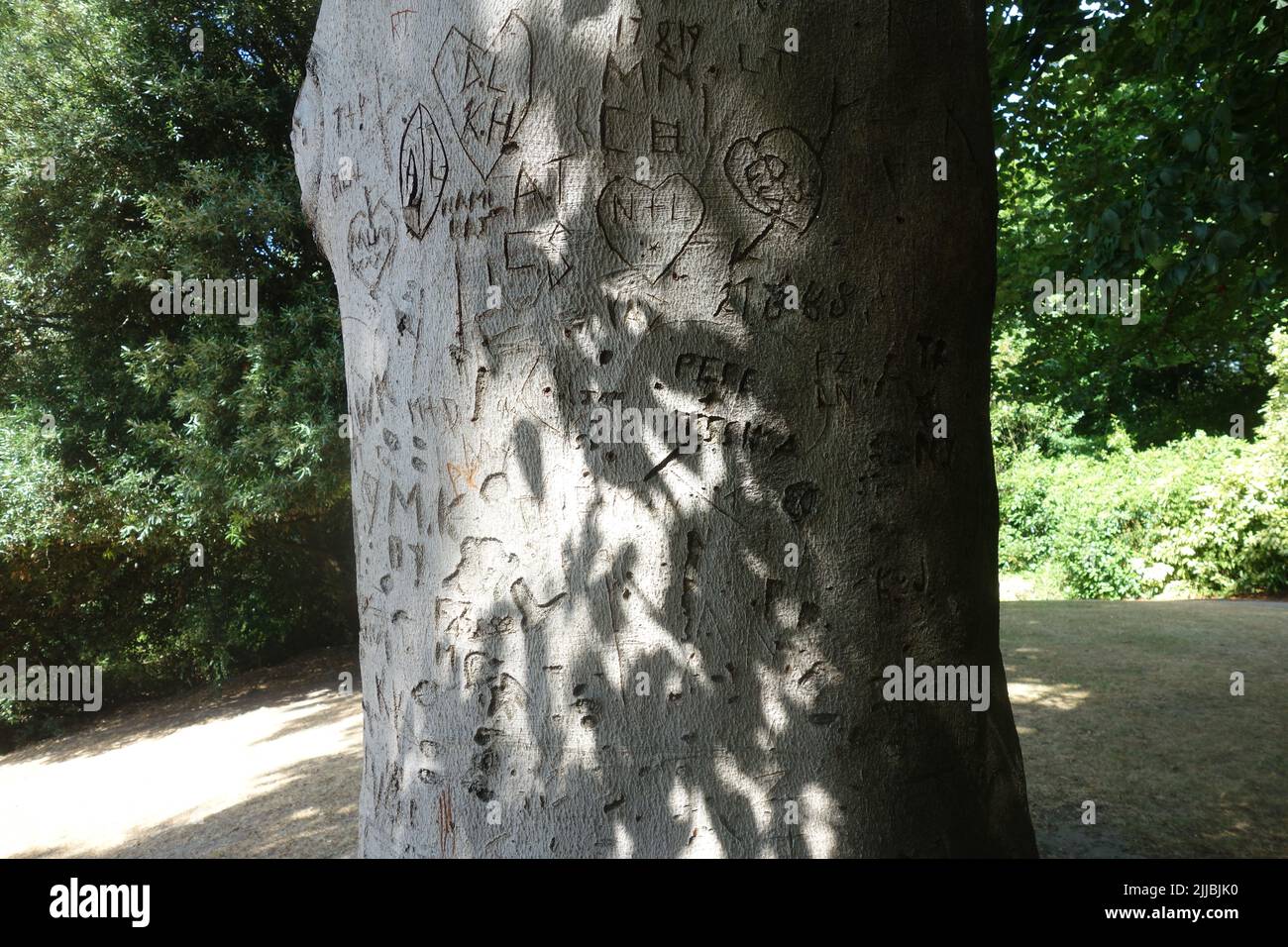 Carvings, Tree Trunk, Golders Hill Park, London, UK Stock Photo
