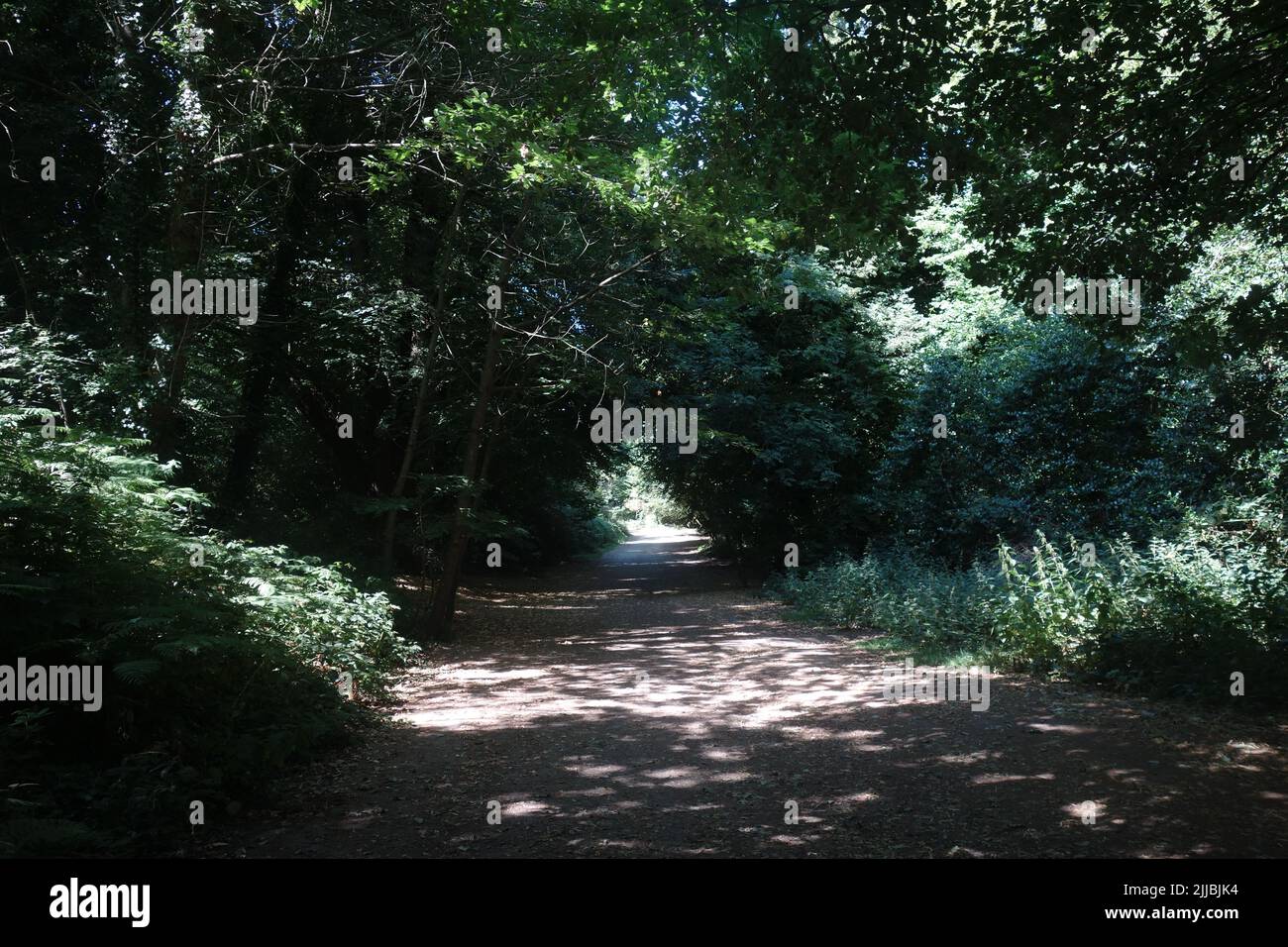 Path, Golders Hill Park, London, UK Stock Photo