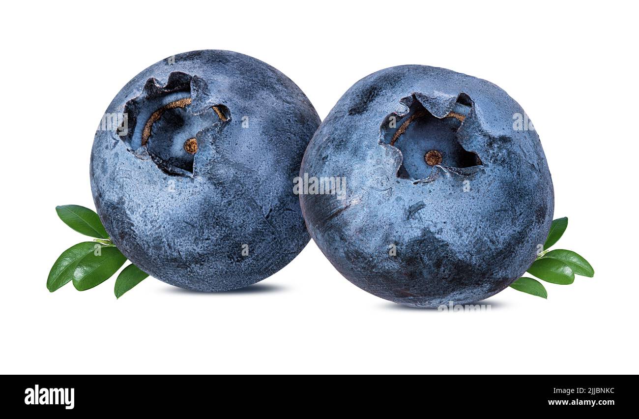 Blueberry isolated. Blueberry on white background. Bilberry. Stock Photo