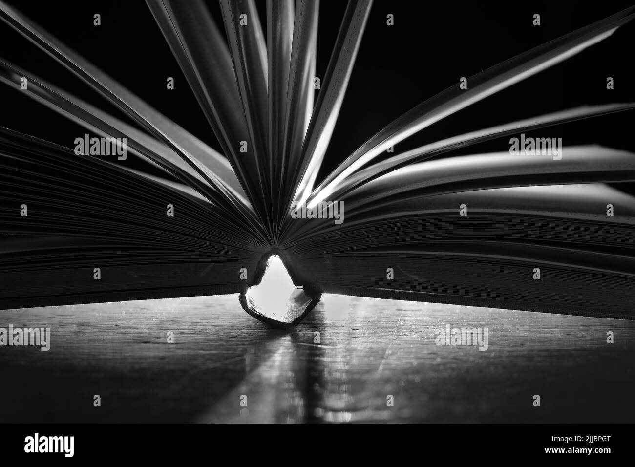 Open book close up,backlighting black and white, reading, education