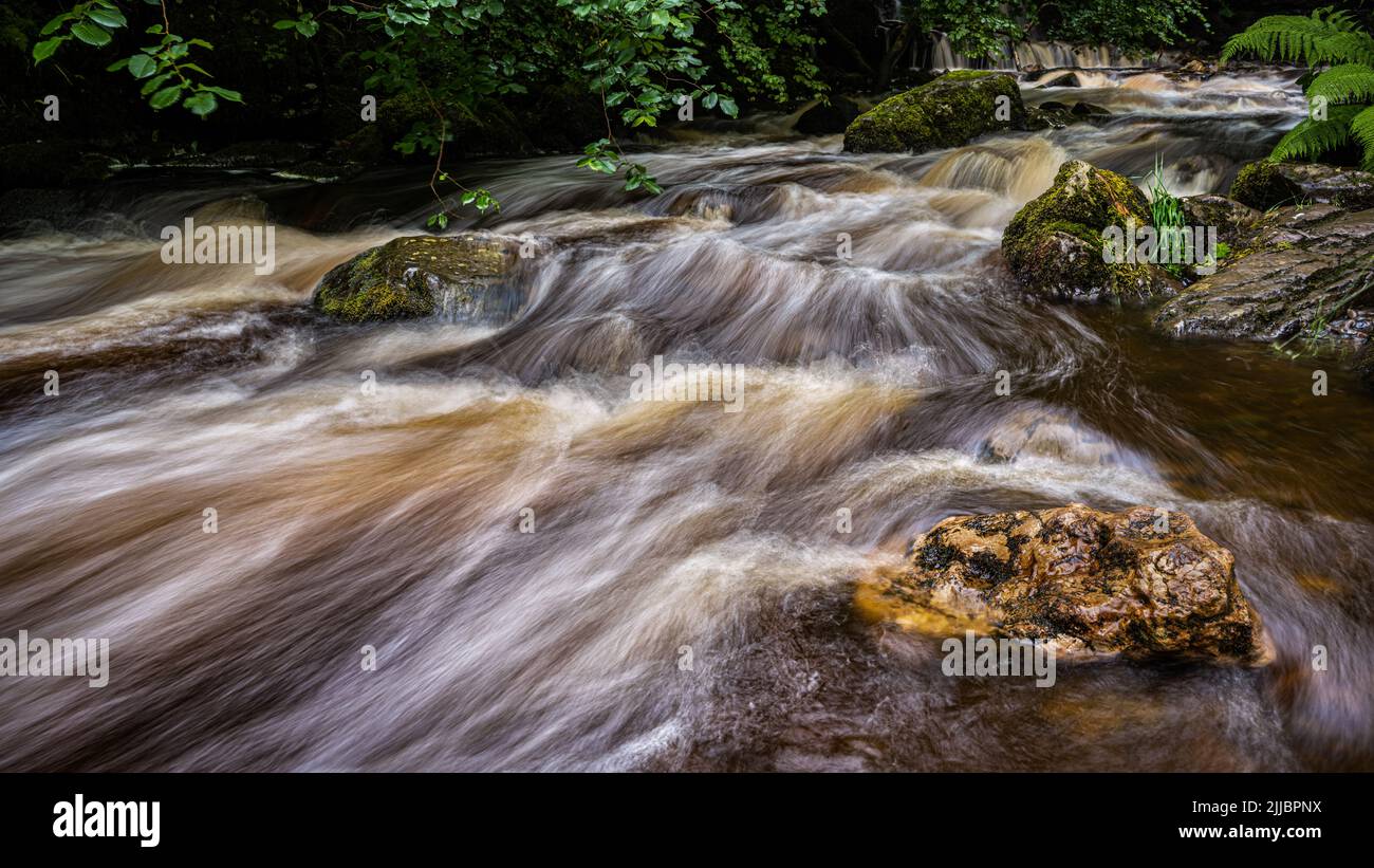 On the waterfall walk in Campsie Glen with a long exposure image of Kirk Burn to show the motion in water Stock Photo