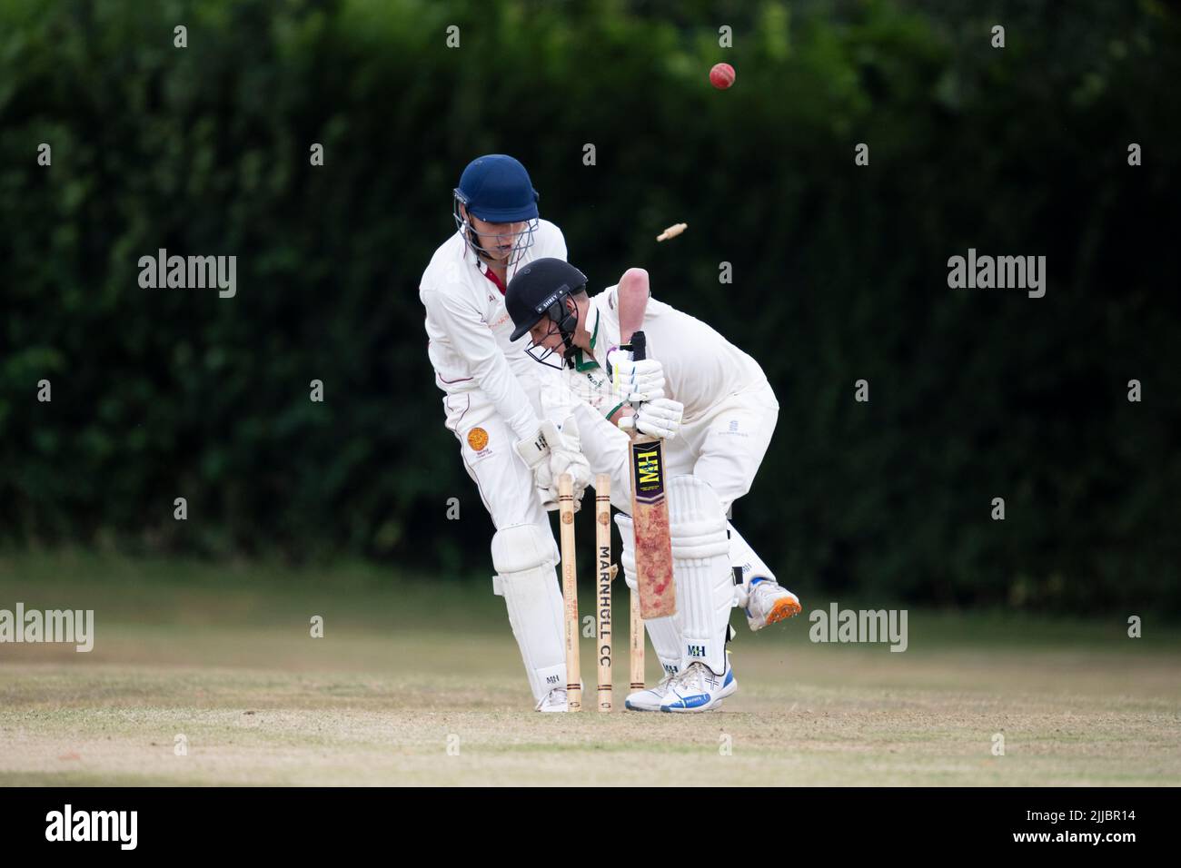 Cricket batsman being bowled out Stock Photo Alamy