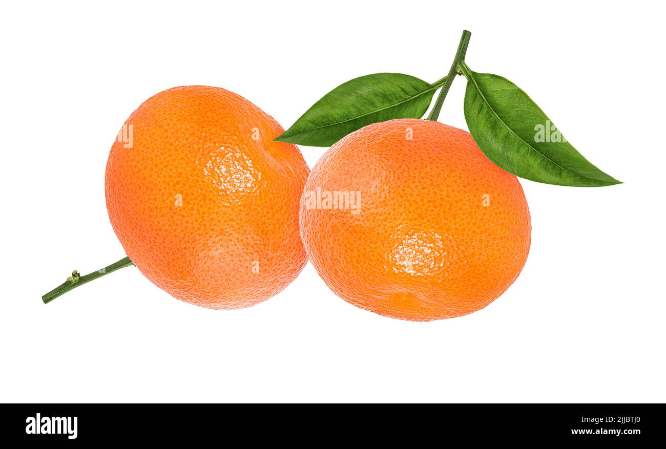 Mandarin, tangerine citrus fruit with leaf isolated on white background