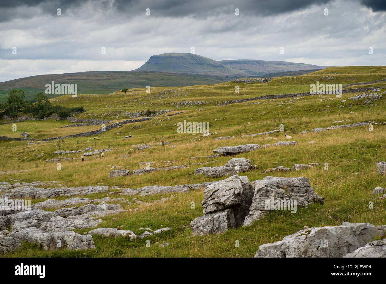 Penyghent is a fell in the Yorkshire Dales, England. It is the lowest of Yorkshire's Three Peaks at 2,277 feet (694 m); the other two being Ingleborou Stock Photo