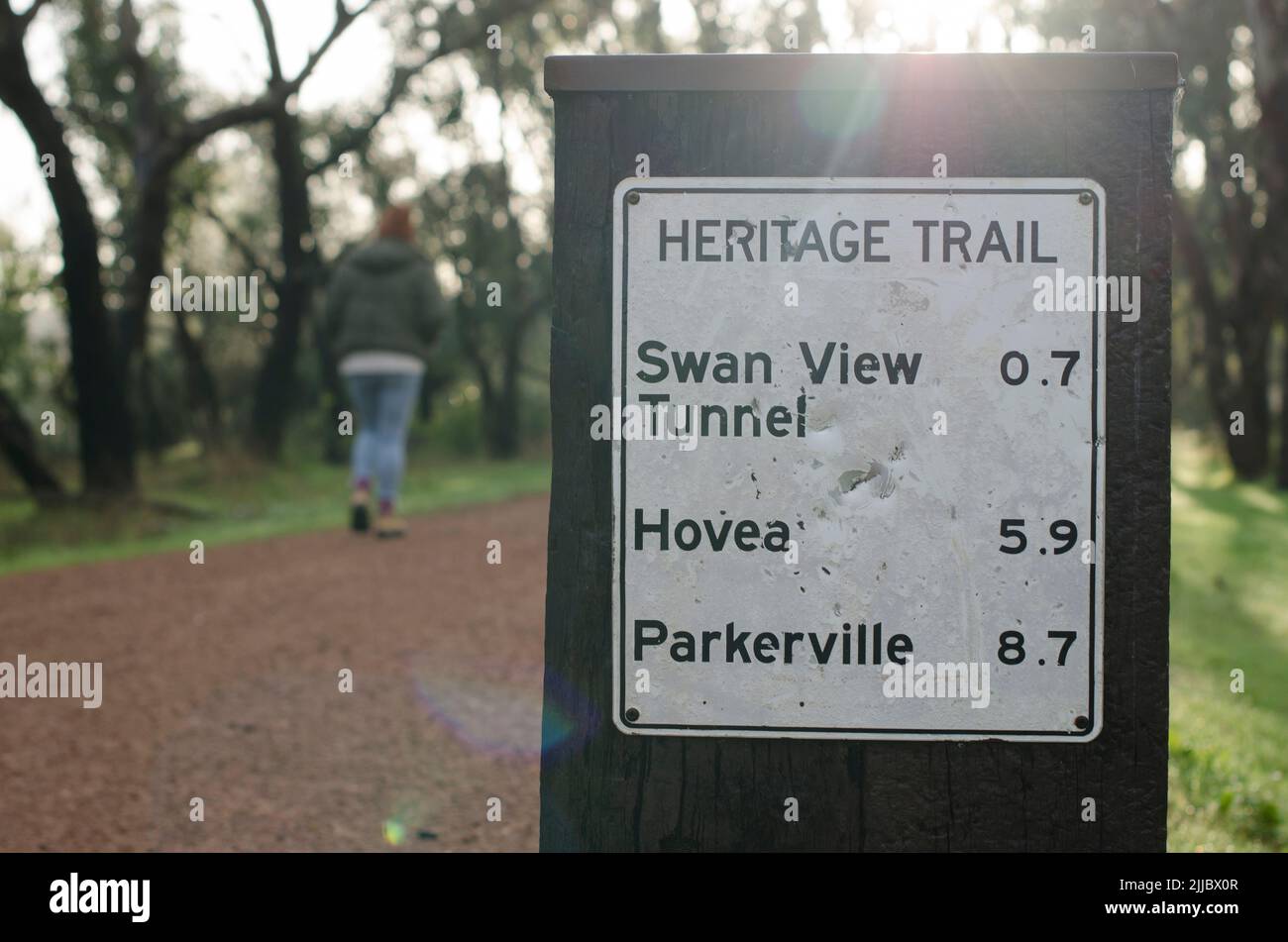 Woman walking past heritage trail sign John Forest National park with lens flare Swan View tunnel Hovea Parkerville Stock Photo