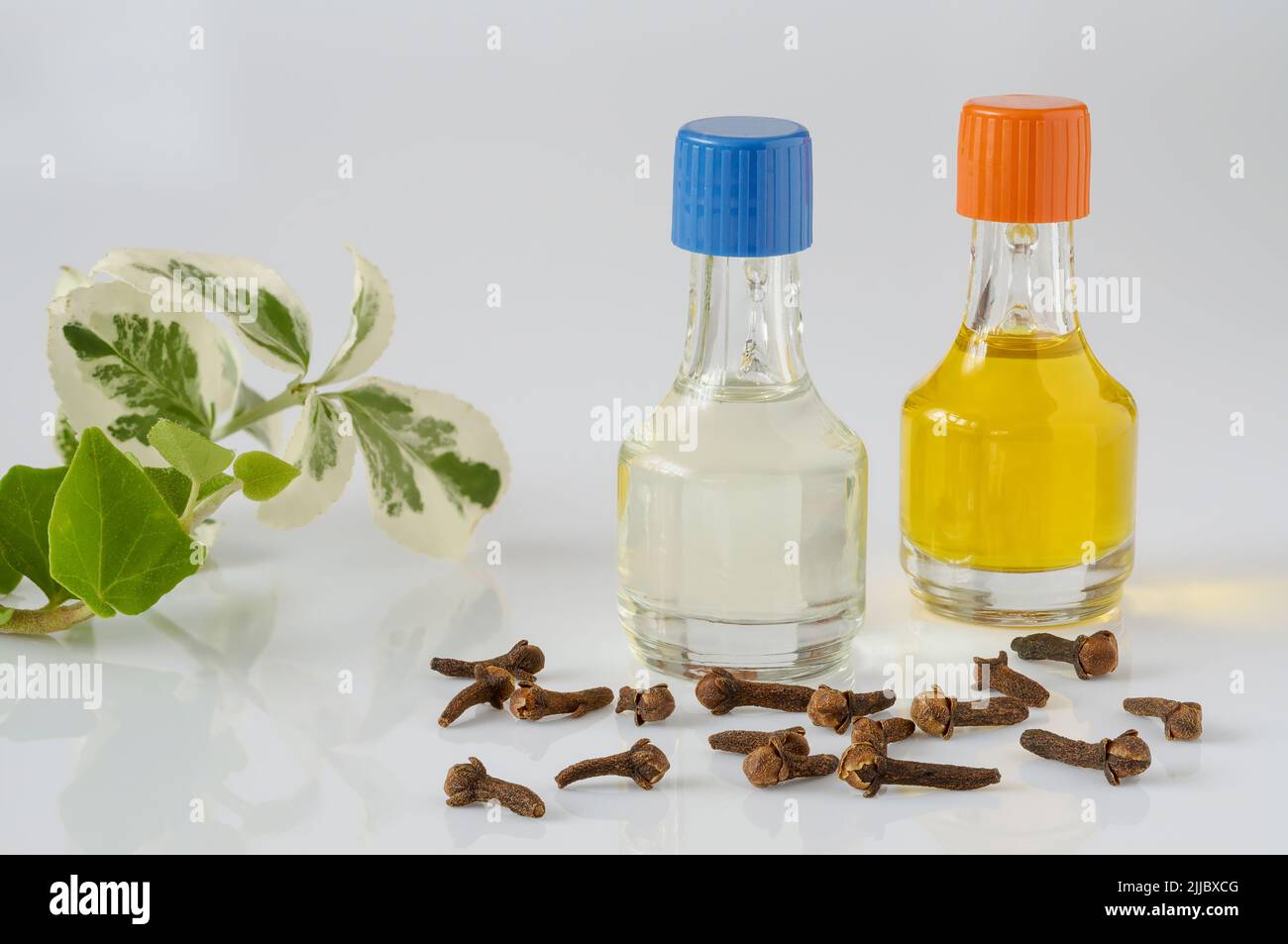 Clove and lavender oil. Pebbles and cloves, isolated, essential oils in bottles, zen background concept, spa Stock Photo