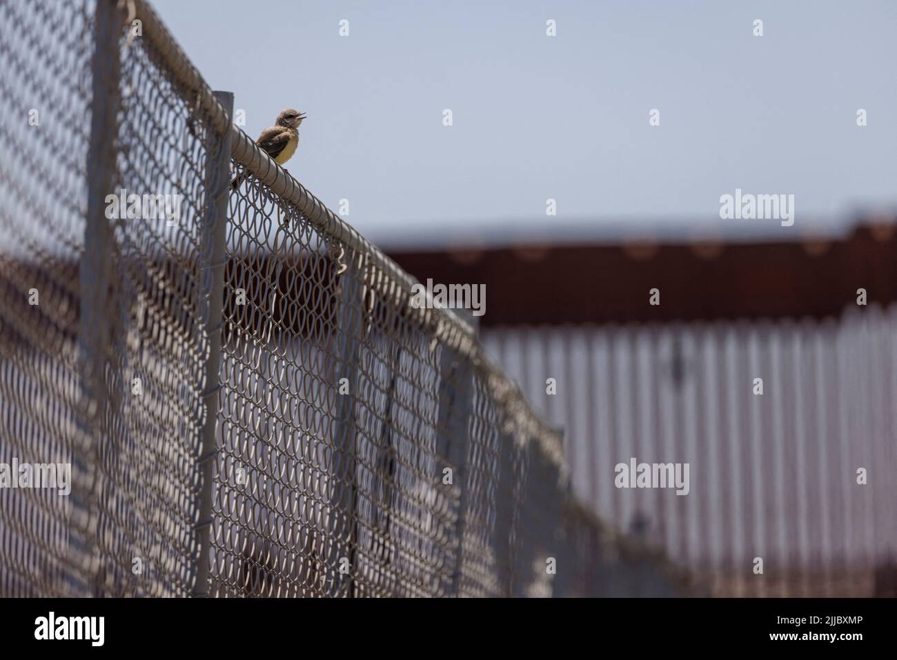 The border wall between the United States and Mexico is shown near the Otay Mesa border crossing in San Diego, California, U.S., June 2, 2022.   REUTERS/Mike Blake Stock Photo