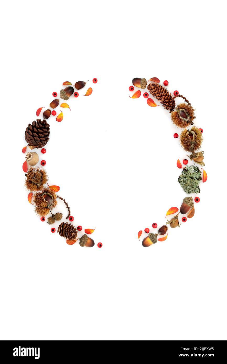 Autumn wreath abstract nature concept with leaves, flora, nuts and berry fruit. Minimal abstract Thanksgiving Fall composition with natural symbols. Stock Photo